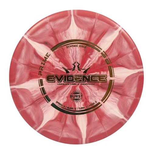 Dynamic Discs Evidence