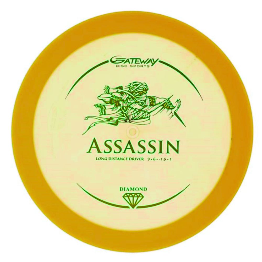 Gateway Assassin